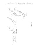 BIOSYNTHETICALLY GENERATED PYRROLINE-CARBOXY-LYSINE AND SITE SPECIFIC     PROTEIN MODIFICATIONS VIA CHEMICAL DERIVATIZATION OF     PYRROLINE-CARBOXY-LYSINE AND PYRROLYSINE RESIDUES diagram and image