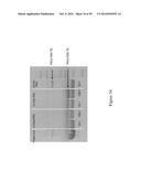 BIOSYNTHETICALLY GENERATED PYRROLINE-CARBOXY-LYSINE AND SITE SPECIFIC     PROTEIN MODIFICATIONS VIA CHEMICAL DERIVATIZATION OF     PYRROLINE-CARBOXY-LYSINE AND PYRROLYSINE RESIDUES diagram and image