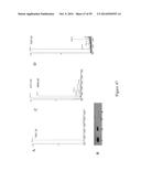 BIOSYNTHETICALLY GENERATED PYRROLINE-CARBOXY-LYSINE AND SITE SPECIFIC     PROTEIN MODIFICATIONS VIA CHEMICAL DERIVATIZATION OF     PYRROLINE-CARBOXY-LYSINE AND PYRROLYSINE RESIDUES diagram and image