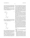 BIOSYNTHETICALLY GENERATED PYRROLINE-CARBOXY-LYSINE AND SITE SPECIFIC     PROTEIN MODIFICATIONS VIA CHEMICAL DERIVATIZATION OF     PYRROLINE-CARBOXY-LYSINE AND PYRROLYSINE RESIDUES diagram and image