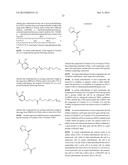 BIOSYNTHETICALLY GENERATED PYRROLINE-CARBOXY-LYSINE AND SITE SPECIFIC     PROTEIN MODIFICATIONS VIA CHEMICAL DERIVATIZATION OF     PYRROLINE-CARBOXY-LYSINE AND PYRROLYSINE RESIDUES diagram and image