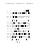 ENGINEERED LOWER EUKARYOTIC HOST STRAINS FOR RECOMBINANT PROTEIN     EXPRESSION diagram and image