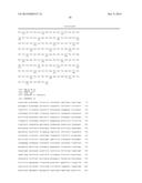 ENGINEERED LOWER EUKARYOTIC HOST STRAINS FOR RECOMBINANT PROTEIN     EXPRESSION diagram and image