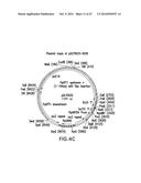 ENGINEERED LOWER EUKARYOTIC HOST STRAINS FOR RECOMBINANT PROTEIN     EXPRESSION diagram and image