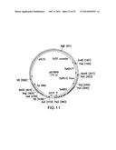 ENGINEERED LOWER EUKARYOTIC HOST STRAINS FOR RECOMBINANT PROTEIN     EXPRESSION diagram and image