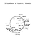 ENGINEERED LOWER EUKARYOTIC HOST STRAINS FOR RECOMBINANT PROTEIN     EXPRESSION diagram and image