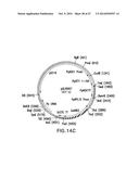 ENGINEERED LOWER EUKARYOTIC HOST STRAINS FOR RECOMBINANT PROTEIN     EXPRESSION diagram and image