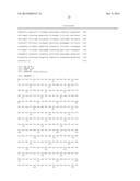 ENGINEERED LOWER EUKARYOTIC HOST STRAINS FOR RECOMBINANT PROTEIN     EXPRESSION diagram and image