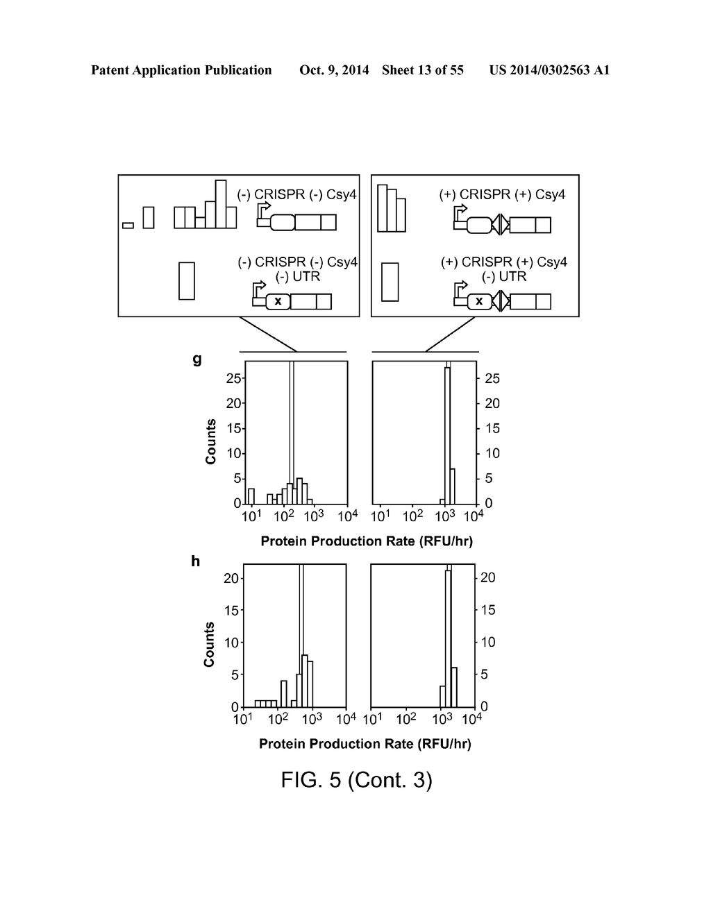 Methods and Compositions for Controlling Gene Expression by RNA Processing - diagram, schematic, and image 14