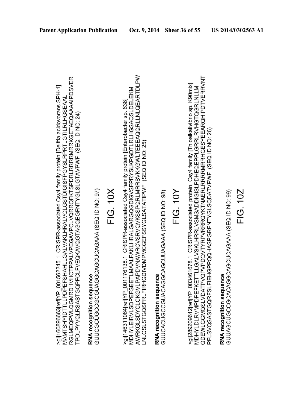 Methods and Compositions for Controlling Gene Expression by RNA Processing - diagram, schematic, and image 37