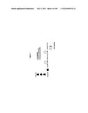 3-HYDROXYPROPIONIC ACID AND OTHER ORGANIC COMPOUNDS diagram and image