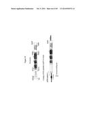 3-HYDROXYPROPIONIC ACID AND OTHER ORGANIC COMPOUNDS diagram and image