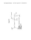 3-HYDROXYPROPIONIC ACID AND OTHER ORGANIC COMPOUNDS diagram and image