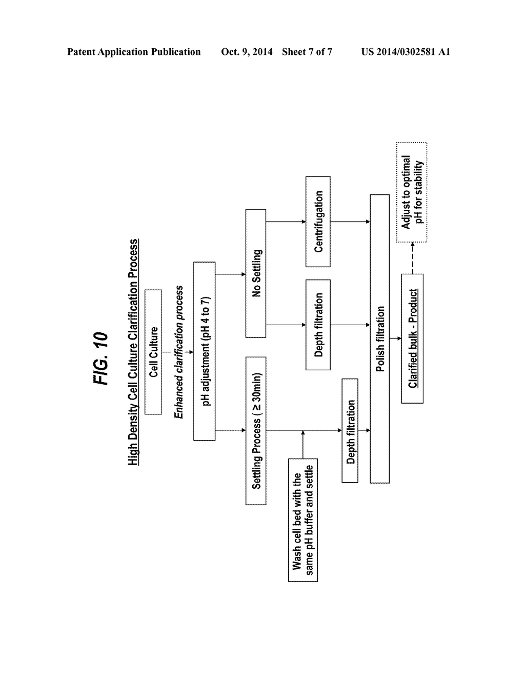 METHODS FOR ENHANCED PROTEIN PRODUCTION - diagram, schematic, and image 08