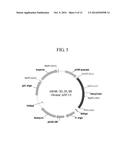 HUMAN ANTIBODIES SPECIFICALLY BINDING TO THE HEPATITIS B VIRUS SURFACE     ANTIGEN diagram and image