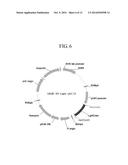 HUMAN ANTIBODIES SPECIFICALLY BINDING TO THE HEPATITIS B VIRUS SURFACE     ANTIGEN diagram and image