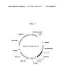 HUMAN ANTIBODIES SPECIFICALLY BINDING TO THE HEPATITIS B VIRUS SURFACE     ANTIGEN diagram and image