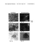 Method of obtaining a population of cells diagram and image