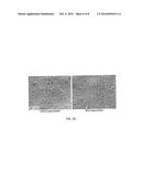 IMPEDANCE-BASED SENSOR FOR DETECTION OF CATALYST COKING IN FUEL REFORMING     SYSTEMS diagram and image