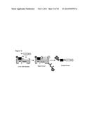 AKT-SPECIFIC CAPTURE AGENTS, COMPOSITIONS, AND METHODS OF USING AND MAKING diagram and image