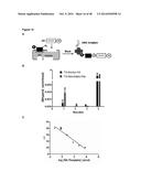 AKT-SPECIFIC CAPTURE AGENTS, COMPOSITIONS, AND METHODS OF USING AND MAKING diagram and image