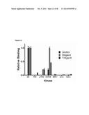 AKT-SPECIFIC CAPTURE AGENTS, COMPOSITIONS, AND METHODS OF USING AND MAKING diagram and image