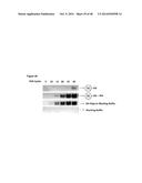 AKT-SPECIFIC CAPTURE AGENTS, COMPOSITIONS, AND METHODS OF USING AND MAKING diagram and image