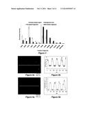 PATTERNING METHOD diagram and image