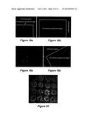 PATTERNING METHOD diagram and image