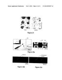 PATTERNING METHOD diagram and image