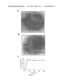 Anti-Microbial Peptides and Methods of Use Thereof diagram and image