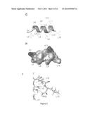 Anti-Microbial Peptides and Methods of Use Thereof diagram and image