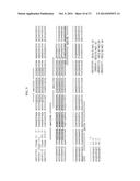 Method of Determining Types I, II, III, IV or V or Methicillin-resistant     Staphylococcus aureus (MRSA) in a Biological Sample diagram and image