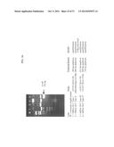 Method of Determining Types I, II, III, IV or V or Methicillin-resistant     Staphylococcus aureus (MRSA) in a Biological Sample diagram and image