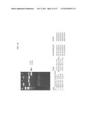 Method of Determining Types I, II, III, IV or V or Methicillin-resistant     Staphylococcus aureus (MRSA) in a Biological Sample diagram and image