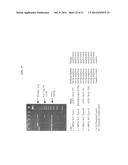 Method of Determining Types I, II, III, IV or V or Methicillin-resistant     Staphylococcus aureus (MRSA) in a Biological Sample diagram and image