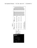 Method of Determining Types I, II, III, IV or V or Methicillin-resistant     Staphylococcus aureus (MRSA) in a Biological Sample diagram and image