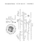 APOPTOSIS-TARGETING NANOPARTICLES diagram and image