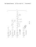 APOPTOSIS-TARGETING NANOPARTICLES diagram and image