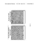 APOPTOSIS-TARGETING NANOPARTICLES diagram and image