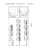 PLATINUM COMPOUNDS THAT INHIBIT CONSTITUTIVE STAT3 SIGNALING AND INDUCE     CELL CYCLE ARREST AND APOPTOSIS OF MALIGNANT CELLS diagram and image