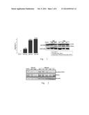 USE OF KINASE INHIBITORS IN PREVENTING AND TREATING INFLAMMATORY DISORDER diagram and image