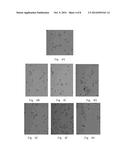 USE OF KINASE INHIBITORS IN PREVENTING AND TREATING INFLAMMATORY DISORDER diagram and image