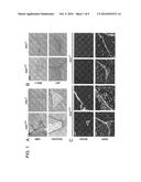 METHOD FOR TREATING NEURODEGENERATION USING A p38MAPK INHIBITOR diagram and image