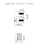 METHOD FOR TREATING NEURODEGENERATION USING A p38MAPK INHIBITOR diagram and image