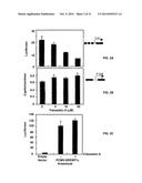 Compositions and Methods for the Treatment of Metabolic Disorders diagram and image