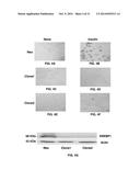 Compositions and Methods for the Treatment of Metabolic Disorders diagram and image