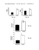 Compositions and Methods for the Treatment of Metabolic Disorders diagram and image