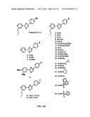 Compositions and Methods for the Treatment of Metabolic Disorders diagram and image