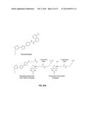 Compositions and Methods for the Treatment of Metabolic Disorders diagram and image